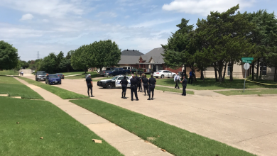 Murder investigation of Dallas toddler underway