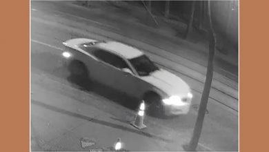 Police investigate hit-and-run near Uptown